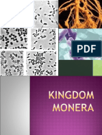 Kingdom Monera and Fungi