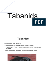 Tabani Ds