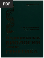 Порно видео