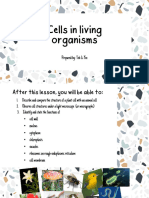 Cells in Organisms