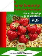 Strawberry Production Guide PDF