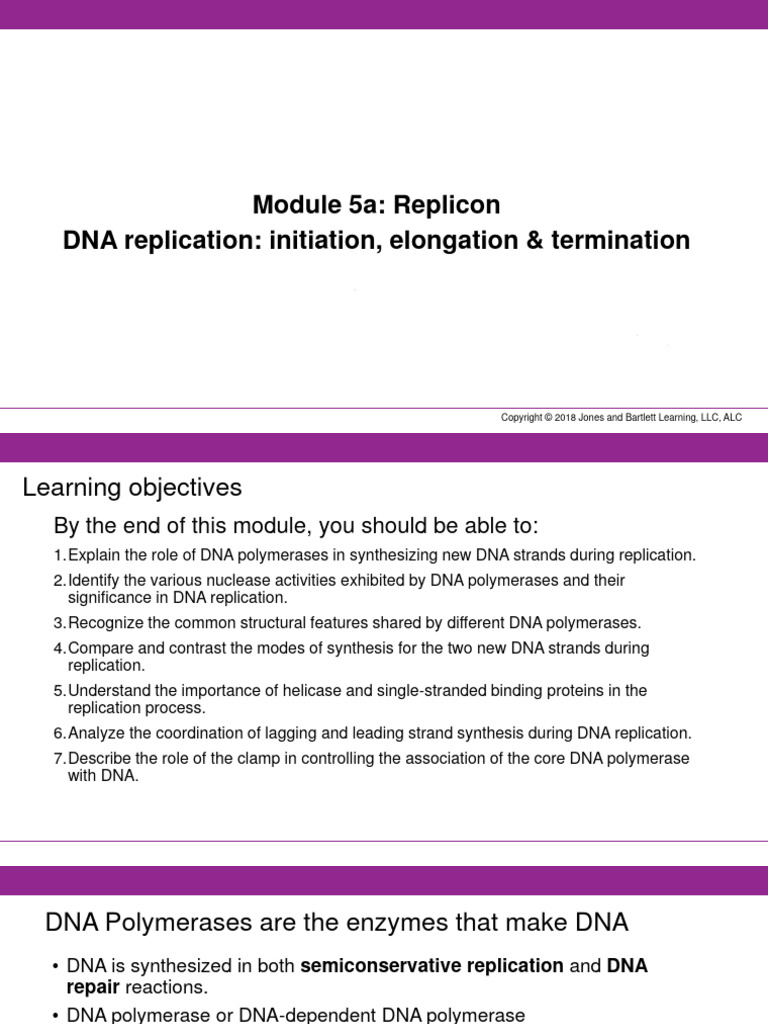 Module+5a | PDF | Dna Replication | Dna