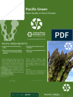 New Pacific Green Brochure