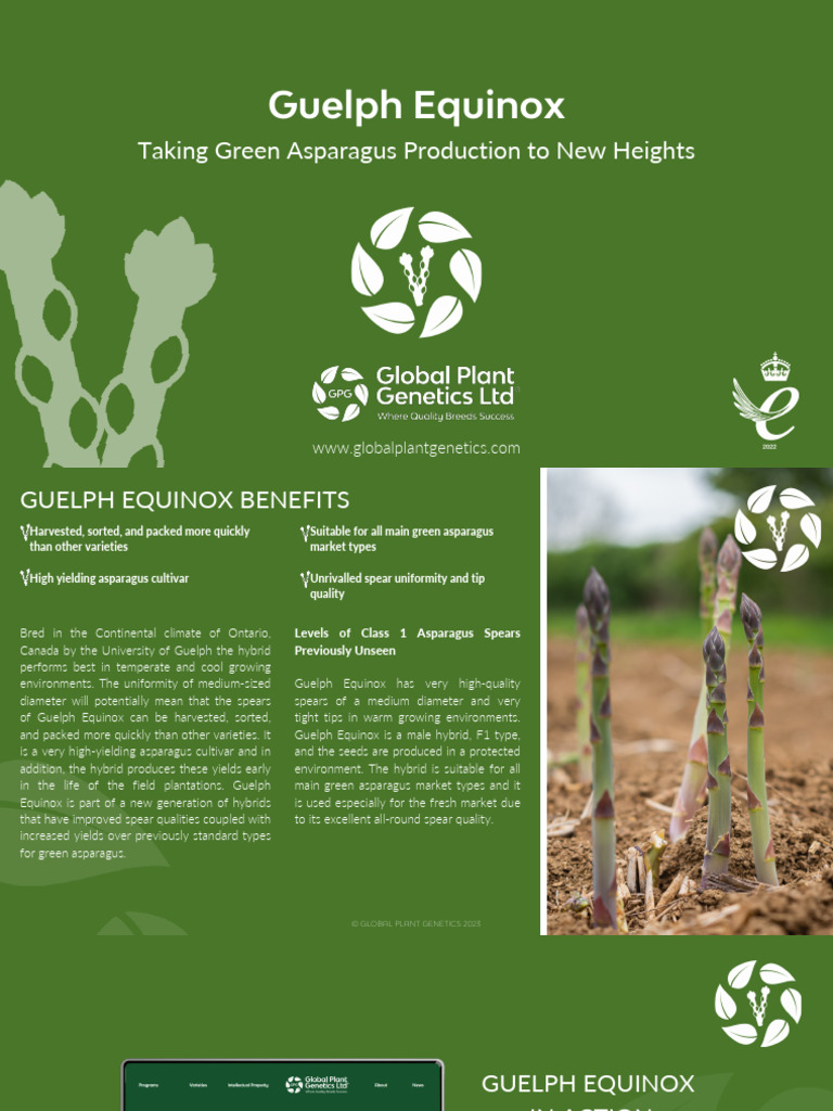 Guelph Equinox Brochure | PDF | Hybrid (Biology) | Asparagus
