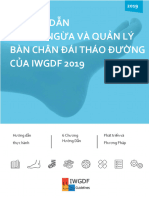 Vietnam - IWGDF Guideline Vietnam - Version