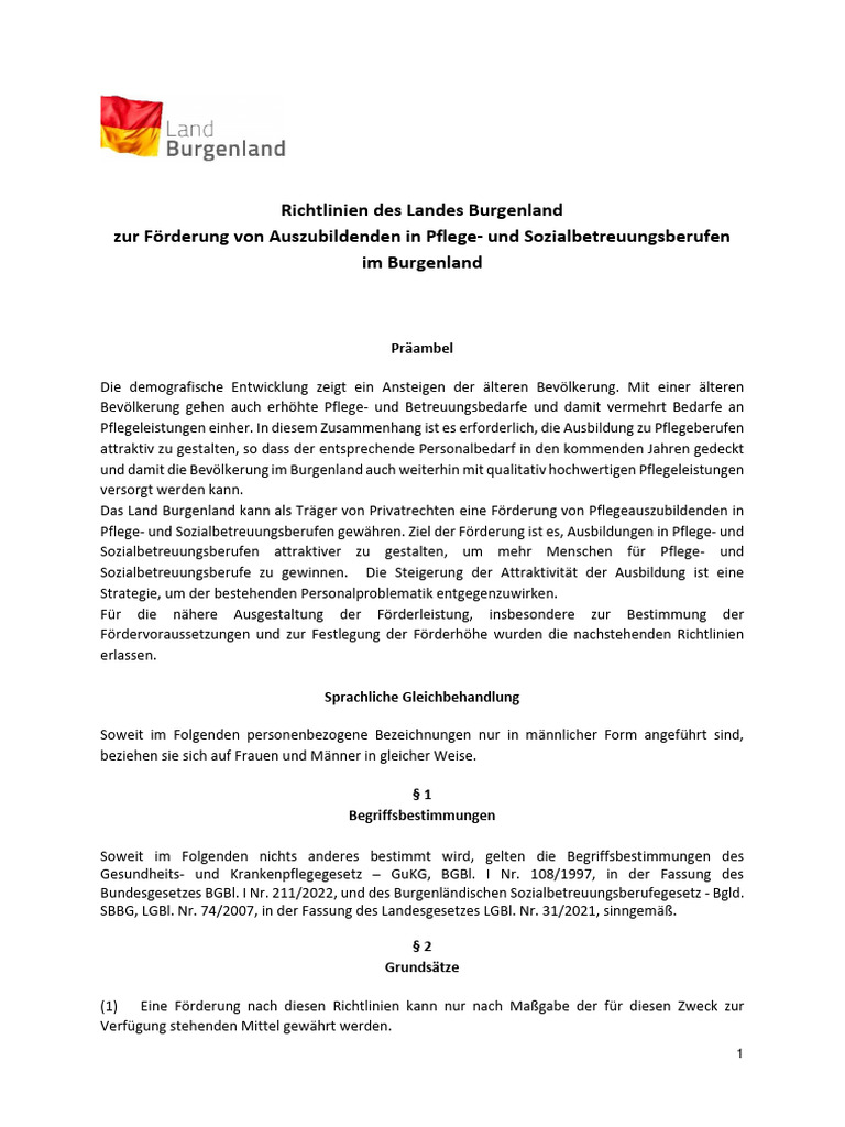 Richtlinien_AusbPuSB PDF