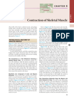 Contraction of Skeletal Muscle - Med Physio (GP)