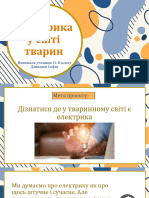 Презентация Microsoft PowerPoint