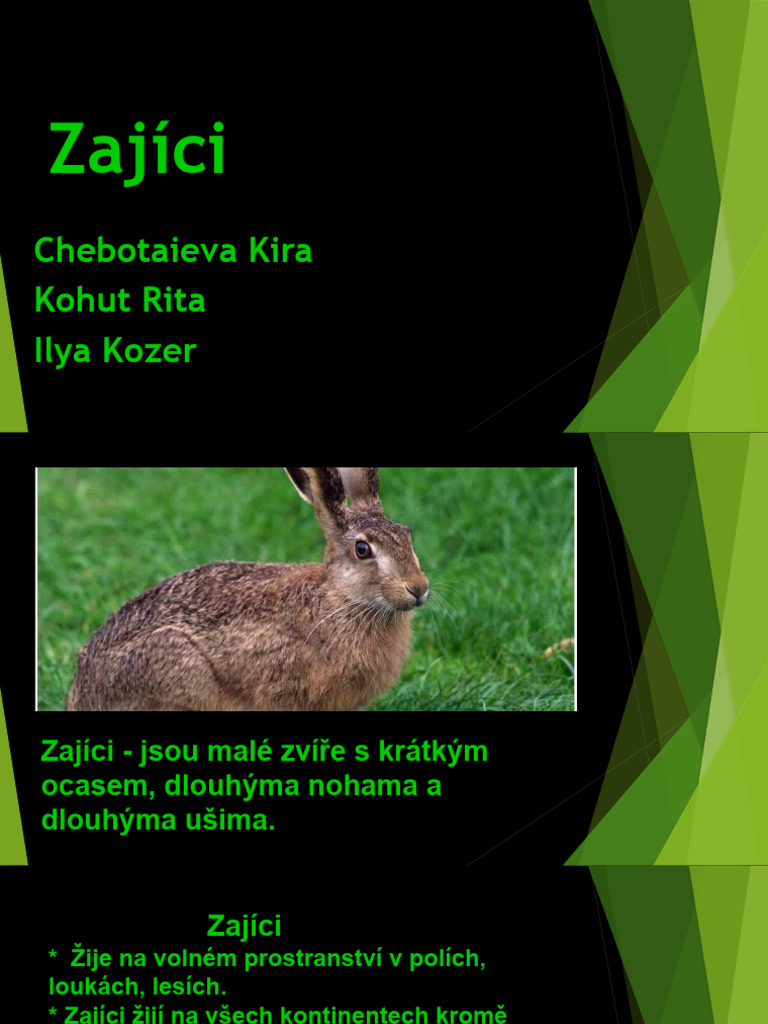 Zajici) ) ) ) | PDF