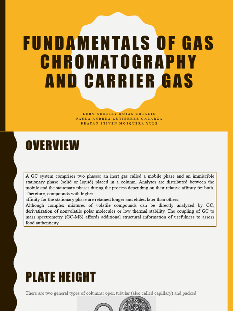Fundamentals of Gas Chromatography and Carrier Gas PDF Gas
