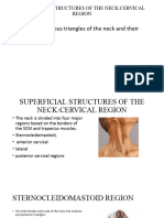 Superficial Structures of The Neck-Triangles