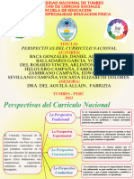 GRUPO 1 - Perspectivas Del Curriculo Nacional - 16-09-23