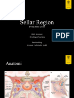 BSD Sellar Region - HA