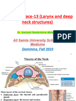 Head Neck Face-13 (Larynx and Deep Neck Structures)