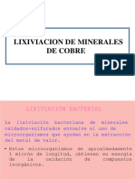 Lix. Minerales de Cobre - Bact. y Precip.