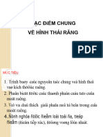 DD Chung Hinh Thai Rang-Đã Chuyển Đổi