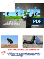 ESG Na Agropecuária - Modelo de Gestão