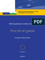 Final REACHPractical Guide