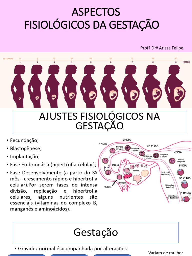 Aula 4 - Aspectos Fisiológicos Da Gestação | PDF