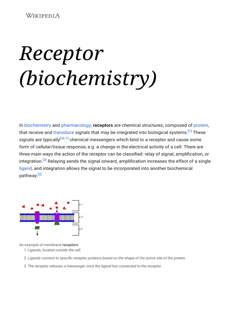 Thyroid hormone receptor beta - Wikipedia