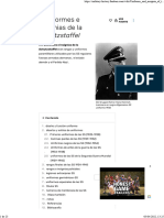 Uniformes e Insignias de La Schutzstaffel Wiki Militar Fandom