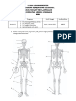 Soal UAS Anatomi 1 - Ihsantin Nazih Afifah - 6301420027 - PKO B 2020