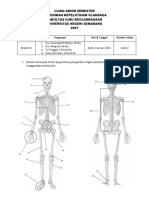 Soal UAS Anatomi 1