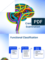 Cranial Nerve Examination 231109 191528