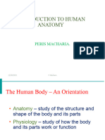 H.anatomy Introduction