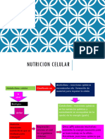 Nutricion Celular