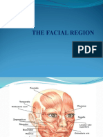 Muscles of Facial Expression