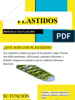 Plastidos PP