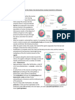 Embryology Summary Notes