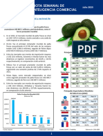 Cien Nsim1 Julio 2023 Palta 1