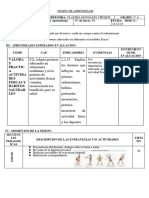 Sesiones Educacion Fisica