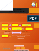 Informe Pericial Contable