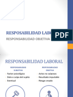 Resposabilidad Objetiva