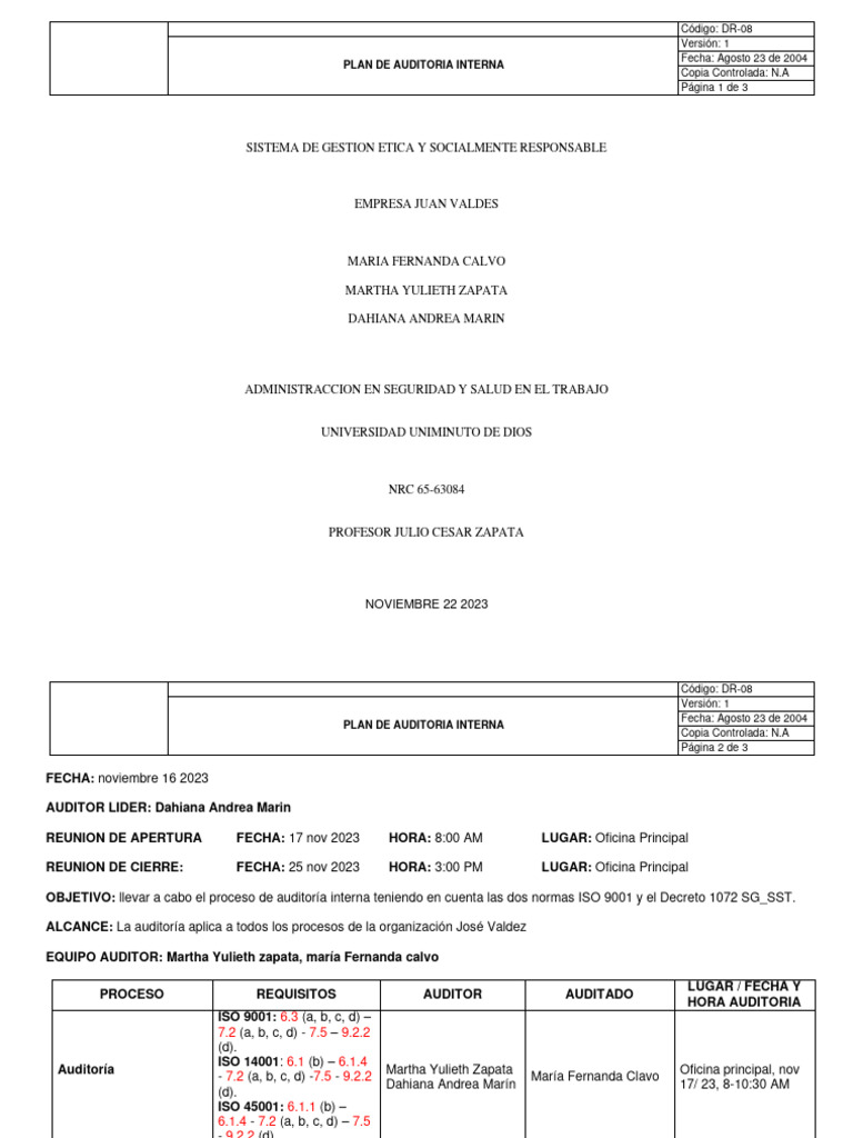 Plan de Auditoria Interna | PDF | Auditoría | Ingeniería de Sistemas