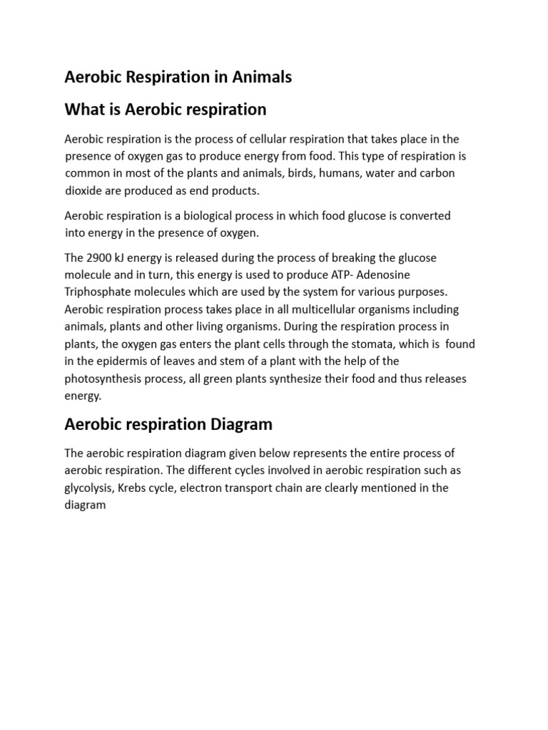 ANAEROBIC RESPIRATION IN ANIMALS IS intelligence overview