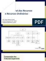 Aula 01 - Teoria Geral Dos Recursos - Introdução