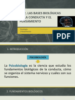 UD2-Fundamentos Biologicos de La Conducta 