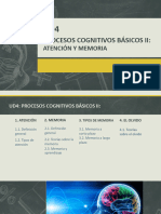 UD4 - Procesos Cognitivos Básicos - Atención y Memoria