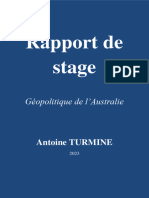 Rapport de Stage (Antoine TURMINE)