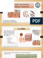 lesion de partes blandas obst