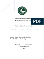 Análisis de Caso Desde El Modelo Sistémico Relacional