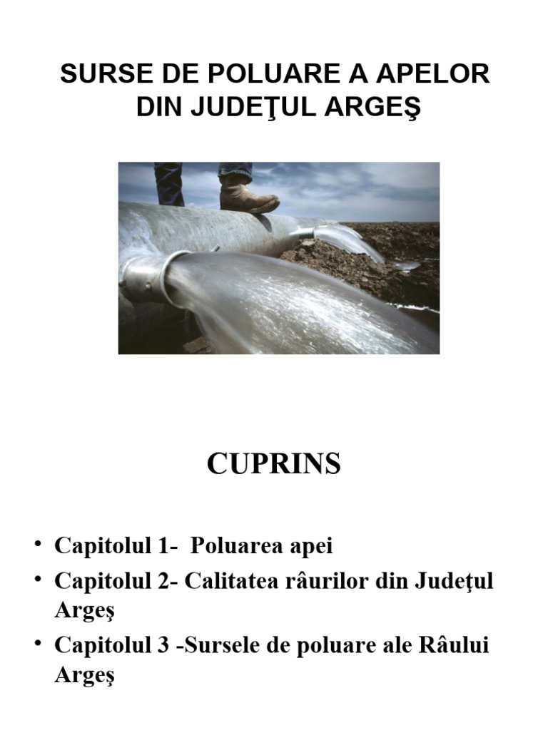 Surse de poluare a apelor din Judetul Arges | PDF
