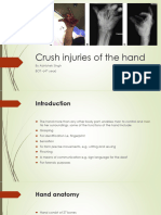 Crush Injuries of The Hand