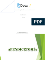 Apendicectomia 297541 Downloadable 4638851