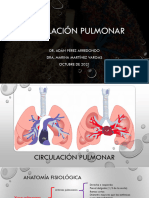 Circulación Pumonar