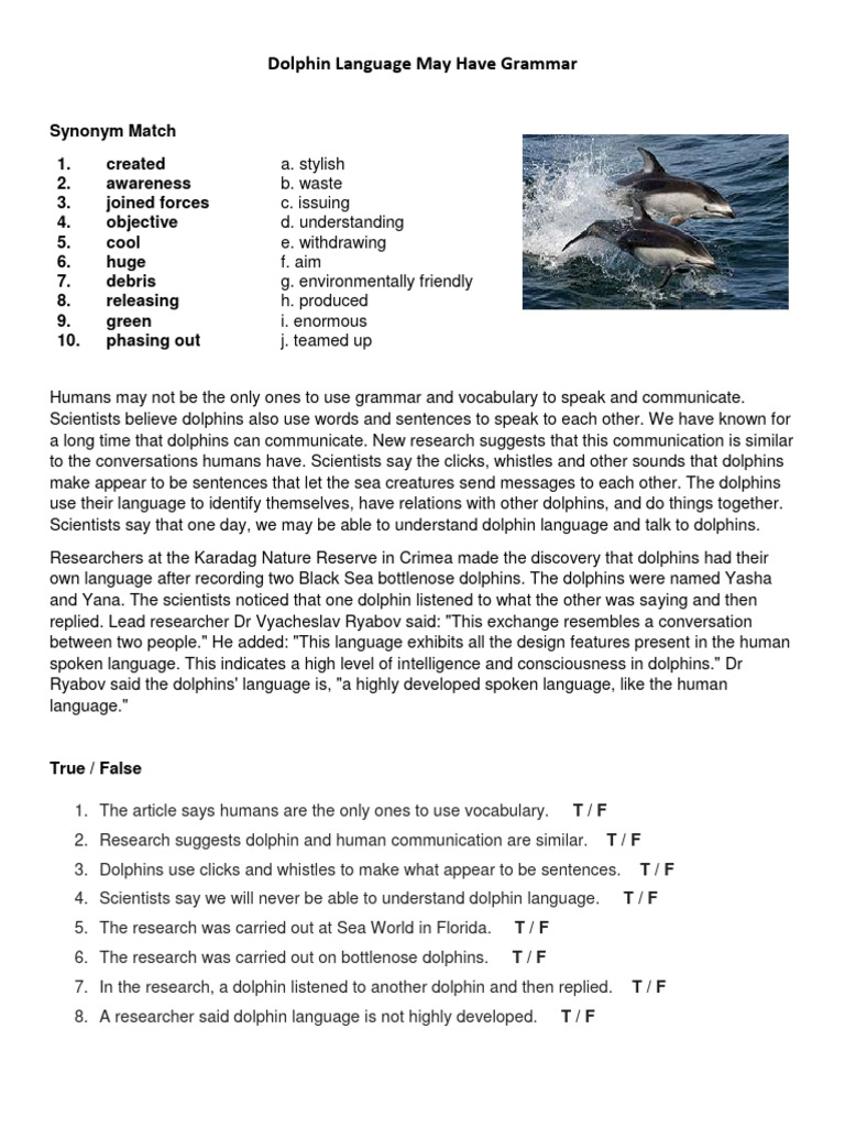Dolphin Language Easier | PDF